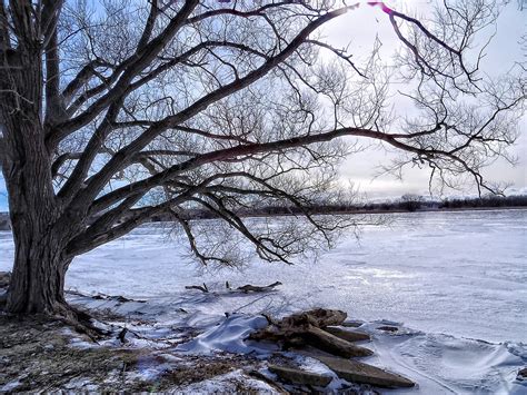 Winter-Tree | Tree by the River on a very cold day. | Chris Sorge | Flickr