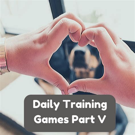 Daily Dog Training Games Part V - SpiritDog Training