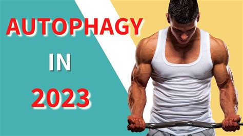 5 Best Ways to Exercise for AUTOPHAGY In 2023 - YouTube