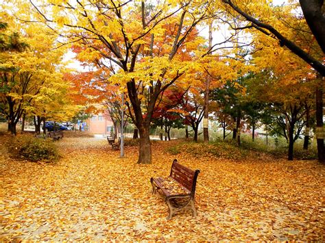 autumn; mùa thu; ảnh đẹp mùa thu, canh dep mua thu | Flickr