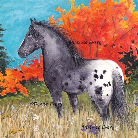 Appaloosa Horse Art Print Black Blanket Appaloosa by DeniseEvery