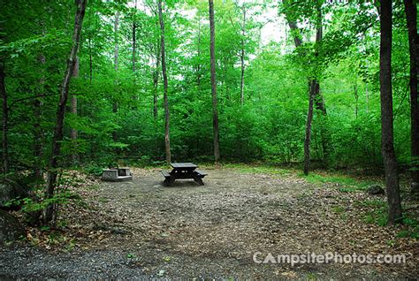 Sacandaga - Campsite Photos, Campsite Availability Alerts