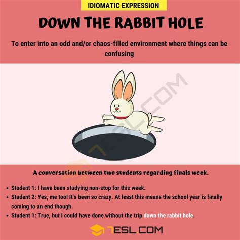 Down The Rabbit Hole Meaning with Helpful Examples • 7ESL | Idioms, Idiomatic expressions ...