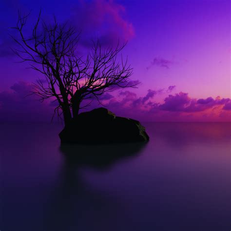 Purple iPad Wallpapers - Wallpaper Cave