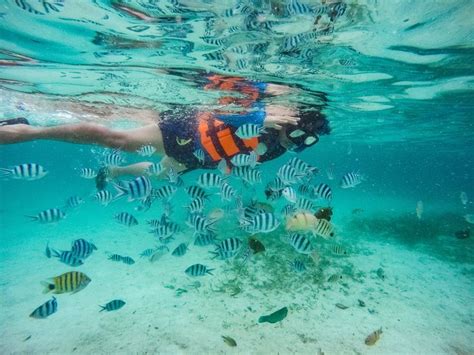 Snorkeling in Coron, Palawan, Philippines | Coron palawan, Palawan, Coron