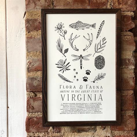 Virginia Wildlife Field Guide Print VA Outdoors Flora Fauna - Etsy