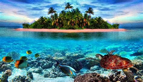 10 Most Beautiful Tropical Islands To Visit in The World - lifeberrys.com