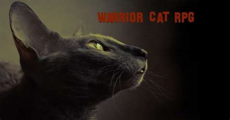 Free forum : Warrior cats rpg