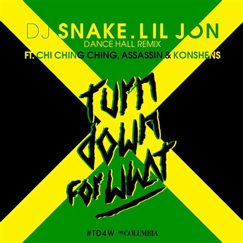 Lil Jon Turn Down For What Remix