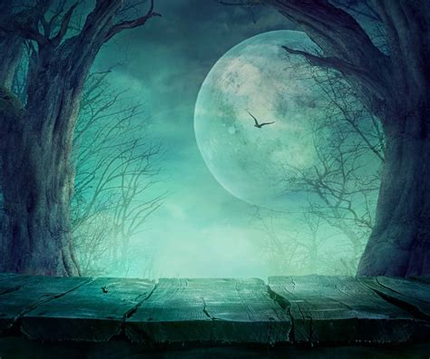 Eerie Night With Bat Dry Tree Background For Halloween Backdrops ...