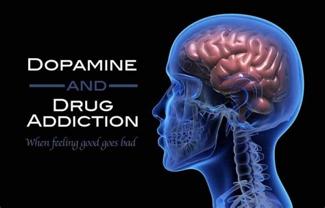 Dopamine and Drug Addiction | Ventura Recovery Center