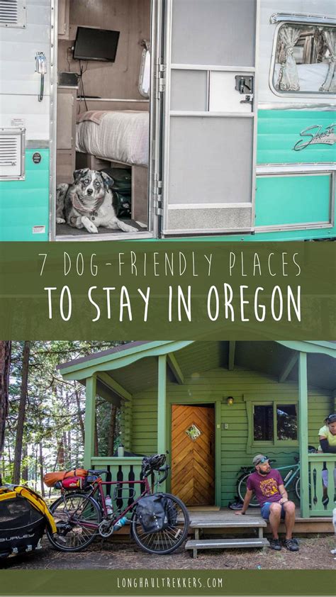 76 Beautiful Hotels In Newport Oregon That Allow Dogs - Home Decor Ideas