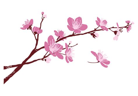 Ornamental cherry blossom clipart 20 free Cliparts | Download images on ...