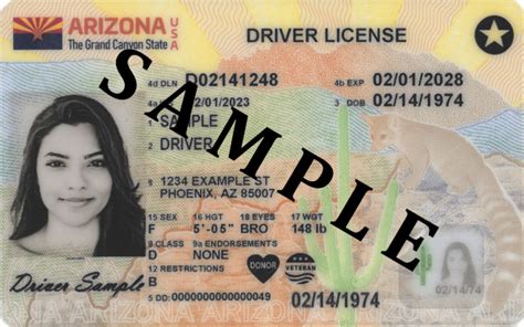 Arizona driver license and ID card gets a makeover | Department of ...