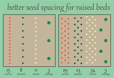 #AtHomeWithNicole: Seed Spacing in the Home Garden