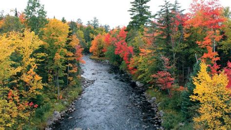 Michigan's fall colors: When will the foliage peak?