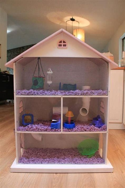 Amazing Hamster Cage Ideas | All Pet Cages Hamster Diy Cage, Gerbil Cages, Diy Guinea Pig Cage ...