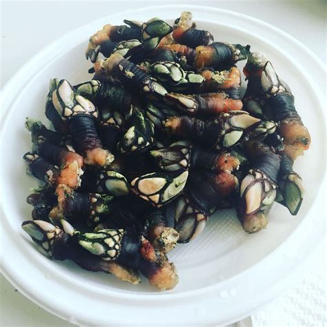 Percebes Black Eyed Peas, Appetizers, Food, Appetizer, Essen, Meals ...