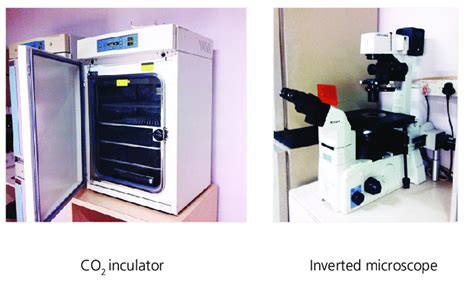 6 Cell culture equipment. (a) CO 2 incubator. (b) Inverted microscope ...