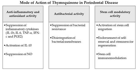 Antioxidants | Free Full-Text | Nigella sativa and Thymoquinone: A Natural Blessing for ...