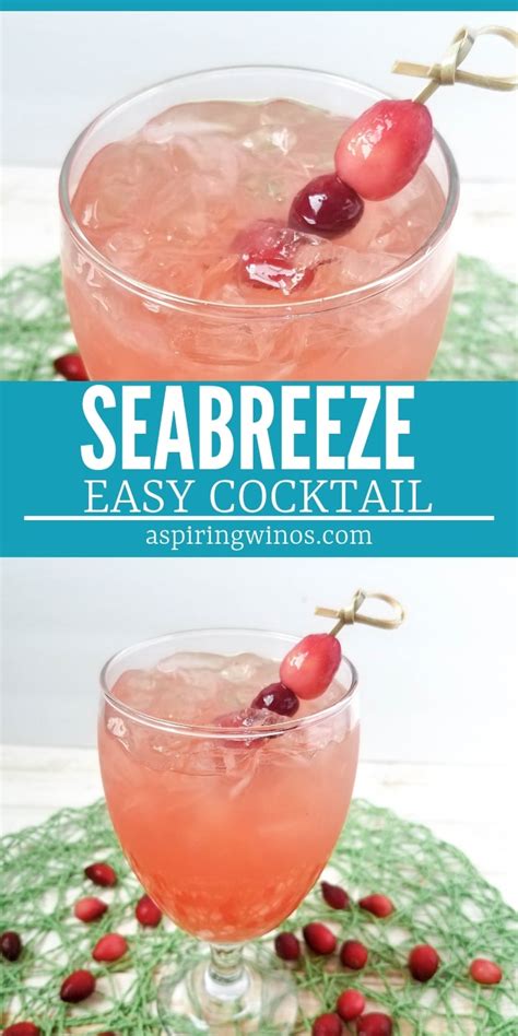 Seabreeze Cocktail Recipe - Aspiring Winos