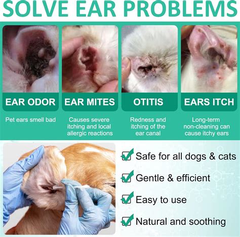 Dog Ear Cleaner, Dogs Ear Infection Treatment, Ear Wash Drops for Dogs ...