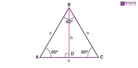 Does the Altitude of an Equilateral Triangle Bisect the Base - Jaylen ...