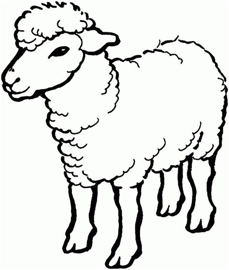 36+ Printable Coloring Pages Sheep | Free Wallpaper