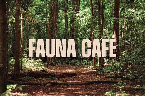 FAUNA CAFÉ on Behance