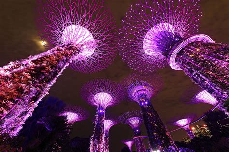 Landmarks Around The World Are Lit In Purple For People With Disabilities : NPR