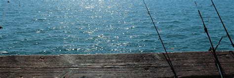 San Francisco Pier Fishing | Go City®