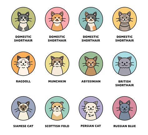 Cute cat breed icon set. 1924804 Vector Art at Vecteezy