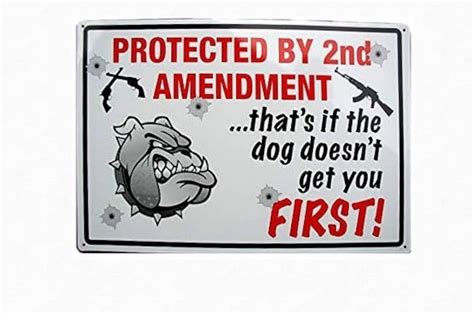 2nd Amendment Sign 2nd Amendment Signs Patriotic Signs Funny | Etsy