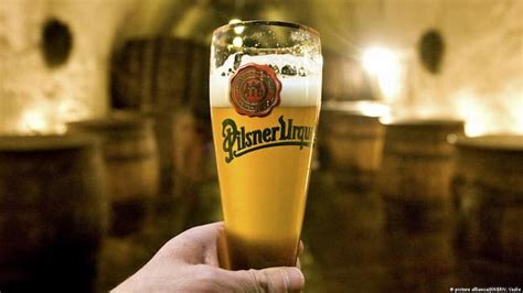 6 Best Czech Beer Brands You Must Try