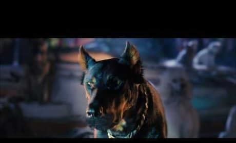 Marmaduke Videos - Movie Fanatic