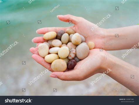 1 Roundrock On Beach Images, Stock Photos & Vectors | Shutterstock