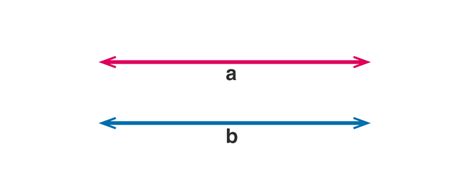 Construction Of Parallel Lines (Complete Steps for Class 7)