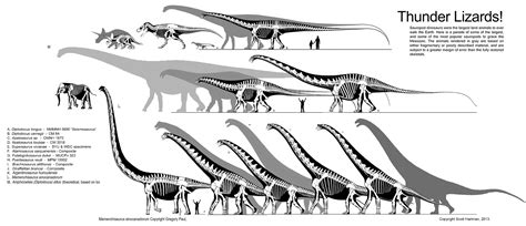 BIGGEST SAUROPODS - Hartman - Paul : Dinosaurs