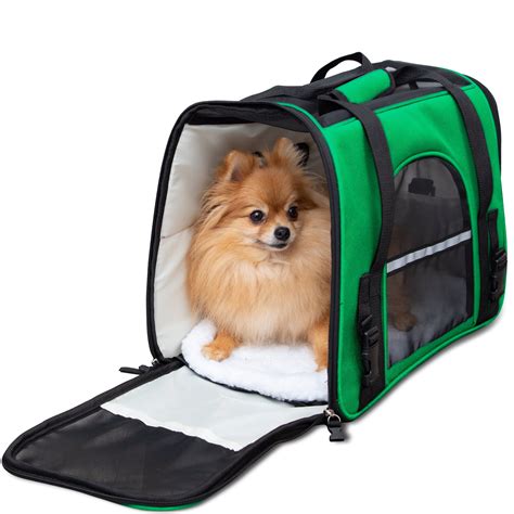 Paws & Pals Soft Sided Pet Carrier, FAA Airline Approved, Forest Green ...