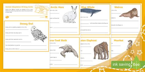 Animal Adaptations Writing Cards (teacher made) - Twinkl