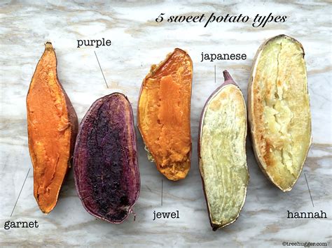 Which Sweet Potatoes Should You Buy?