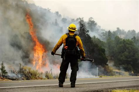 Dry Weather Causes Brush Fires Across Central New York + Brush Fire ...