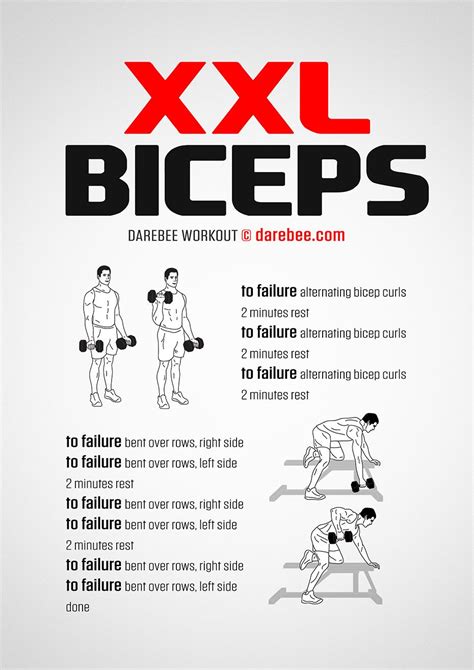 XXL Biceps Workout | Biceps workout, Big biceps workout, Biceps workout at home