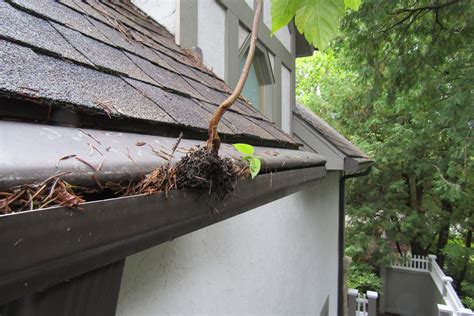 Best Diy Leaf Guard / Best Gutter Guards Of 2021 This Old House ...