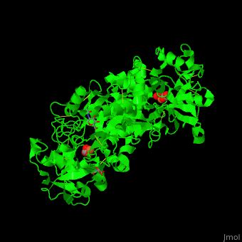 Transferrin - Proteopedia, life in 3D