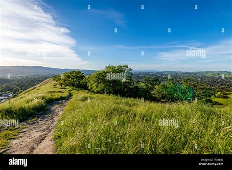 Mount Diablo State Park Stock Photo - Alamy