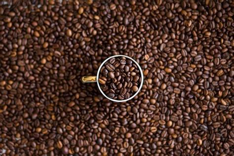 Is Eating Coffee Beans a Healthy Habit or a Harmful Hazard?