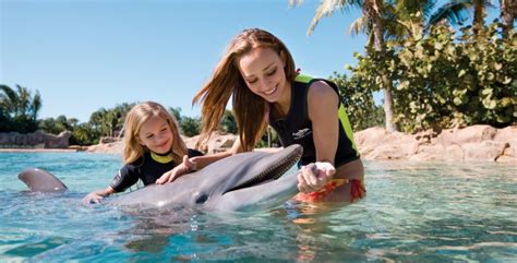 6 Places to Swim with Dolphins | Bucket List Family Vacation Experiences | Best Family Vacations ...