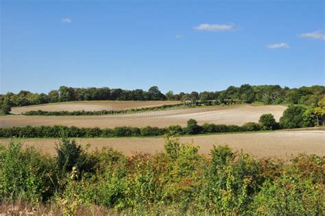 Agricultural Countryside in Cambridgeshire Stock Image - Image of ...