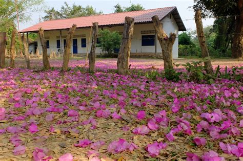 Laos – Village life – Adventures on the wrong side of 60